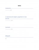 Ensayo de la importancia de la higiene y seguridad en la vida cotidiana