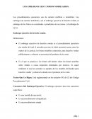 Los embargos ejecutorios mobiliarios