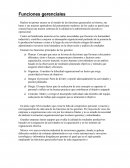 Funciones gerenciales