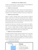 SENSORES DE NIVEL HIDROSTÁTICOS