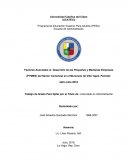 FACTORES ASOCIADOS AL DESARROLLO DE LAS PEQUEÑAS Y MEDIANA EMPRESAS
