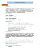 Anatomia. La epicondilitis