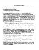 ETAPA DE DESCRIPCIÓN EN EL DISEÑO