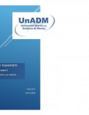 Tipos de Logistica y su relación