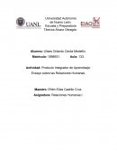 PIA . Ensayo sobre las Relaciones Humanas