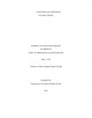 Gestión Básica de la Información Actividad 4 Informe