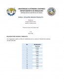 RELACIÓN INSUMO-PRODUCTO