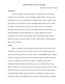 ¿Puede usted decir cuál es su estrategia?