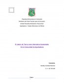 Poryecto de Jabon de Tierra