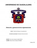 Actividad udg dirección y gerencia organizacional