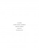 La quiebra. DERECHO Y EMPRESA