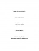 TRABAJO “CREACION DE EMPRESA”