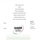 Ciencias Sociales. Desarrollo humano y libertad