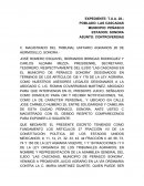 Expediente agrario controversias