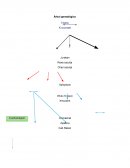 Popol Vuh. Árbol genealógico