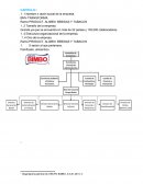 Caso integrador. ELEMENTOS DEL MACROENTORNO