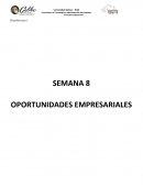 CREACION EMPRESA. OPORTUNIDADES EMPRESARIALES