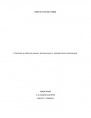 Producción y costos de bienes o servicios para un mercado local e internacional