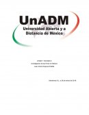 Investigacion de las Pymes en México