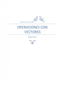 OPERACIONES CON VECTORES. Página 1
