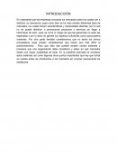 Importancia del proceso lógico de la mercadotecnia y su sistema de información
