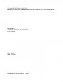 ESTUDIO DE MERCADO PARA EXPORTACIÓN DE DIADEMAS DE CINTAS PARA NIÑAS