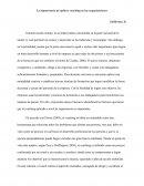 La importancia de aplicar coaching en las organizaciones