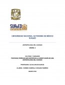 POSTURAS TEÓRICAS QUE SUSTENTAN LA CONSTITUCIÓN DE UNA ANTROPOLOGIA DEL CUIDADO