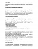 DIFERENCIA ENTRE DERECHO Y DERECHOS