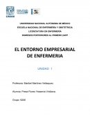EL ENTORNO EMPRESARIAL DE ENFERMERIA