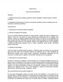 PRÁCTICA 7 CELULAS EUCARIOTAS