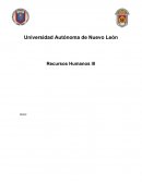 DESCRIPCION DE PUESTOS. DIRECTOR