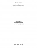 Ciclo hidrologico