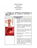 Desarrollo Psicológico 1 Examen Oral