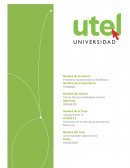 Panorama de la estructura económica Mexicana