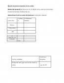 Informe Mercadotecnia. Estrategias de Fijación de Precios