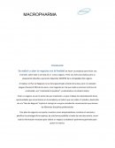 Grupos interactivos “MACROPHARMA”