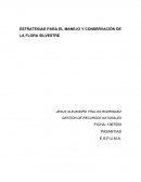 ESTRATEGIAS PARA EL MANEJO Y CONSERVACIÓN DE LA FLORA SILVESTRE