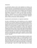 Importancia de la administración en la Ingeniería mecatrónica