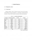 PROYECTO EX ANTE HELADERÍA PALETERÍA S.A.