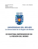 ECOSISTEMA EMPRENDEDOR EN LA REGIÓN DEL BIOBIO