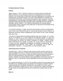 Fundamentaciones Teóricas . Internet