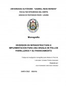 INVERSION EN INFRAESTRUCTURA E IMPLEMENTACION PARA UNA GRANJA DE POLLOS PARRILLEROS Y SU FINANCIAMIENTO