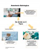 Anestesia Quirúrgica