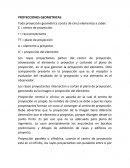 Proyecciones geometricas