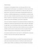 Proyecto de vida. Dimensión humana