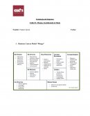 Business Canvas Model “Mango”