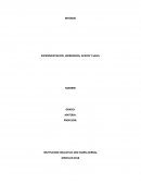 EJEMPLO INFORME DE QUIMICA EXPERIMENTACION HIDROXIDOS ACIDOS Y BASES