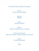 Estilos de Liderazgo y Trabajo en Equipos de Alto Nivel