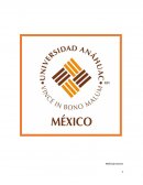 Analisis del grupo LALA